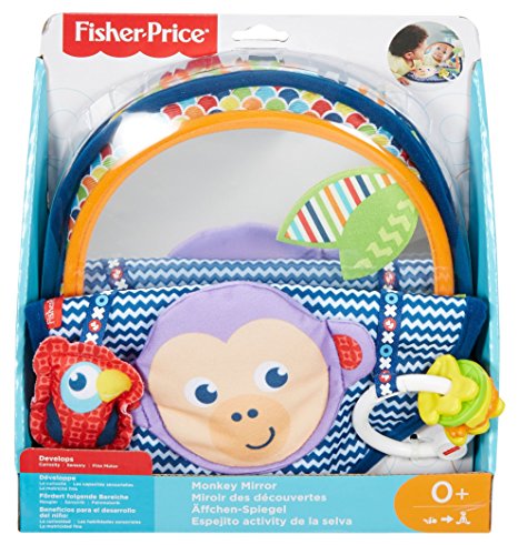 FISHER PRICE DYC85 SCIMMIETTA SPECCHIETTO