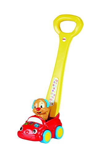 FISHER PRICE DLD85 MACCHINA SPINGIBILE DEL CAGNOLINO