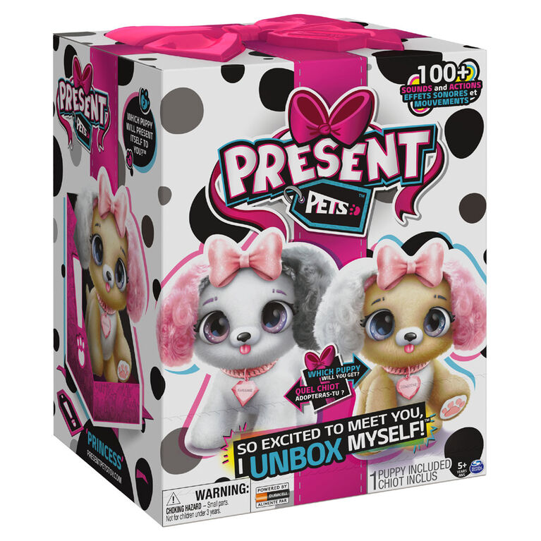 SPINMASTER 6051197 PRESENT PETS FANCY