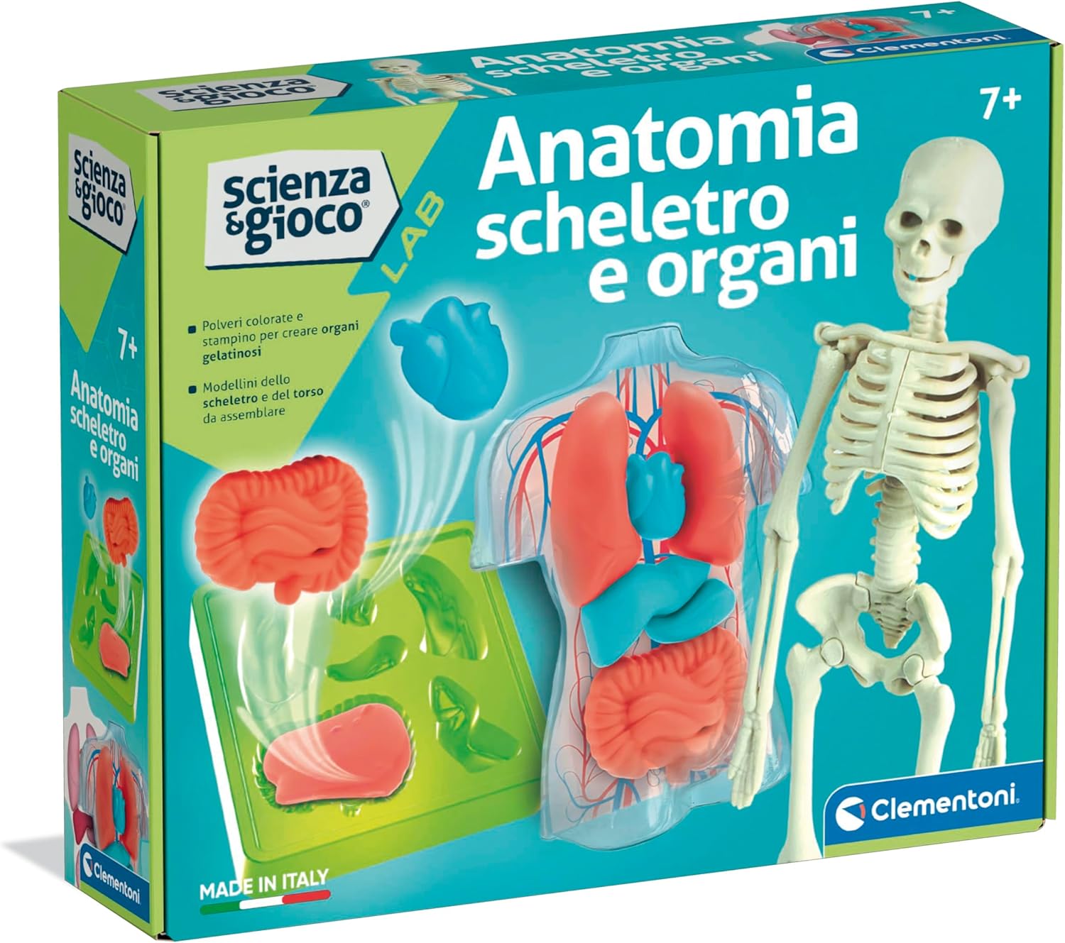 CLEMENTONI 19414 ANATOMIA SCHELETRO E ORGANI