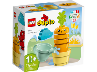 LEGO 10981 UNA CARORA CHE CRESCE DUPLO