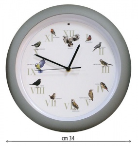 SELEG 6104023 OROLOGIO CANORO GRANDE