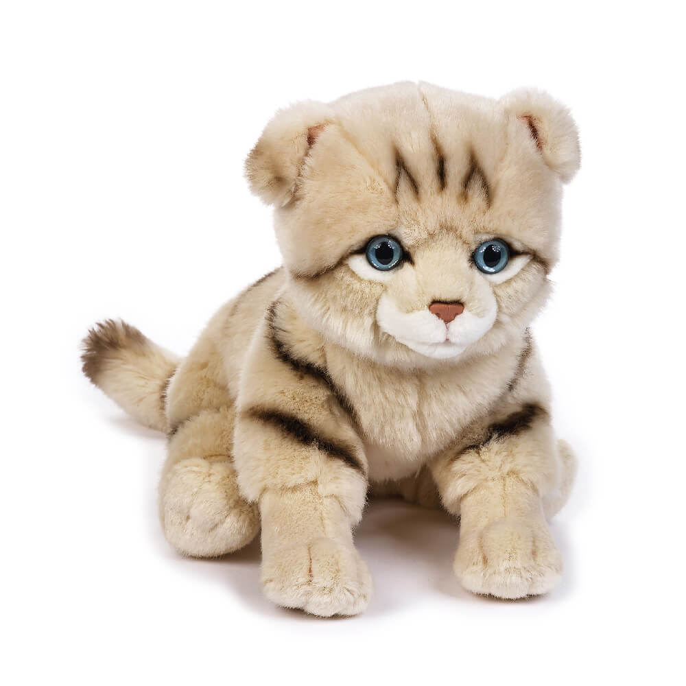 LELLY 631903 PELUCHE KITTY GATTINO SCOTTISH MY PUPPY