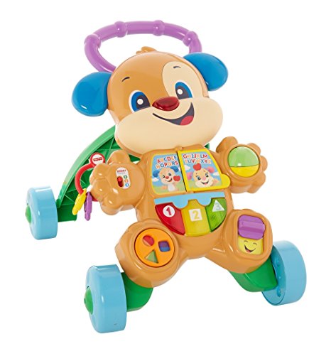 FISHER PRICE FRC84 CAGNOLINO PRIMI PASSI