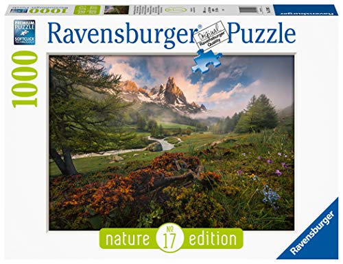 RAVENSBURGER 15993 PUZZLE DA 1000 PZ. ATMOSFERA PITTORESCA